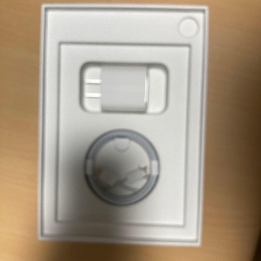 美品 iPad mini6 cellular 256GB バッテリー100%