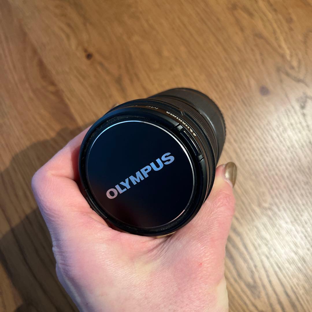 大幅値下★OLYMPUS PEN Lite E-PL5 ミラーレスカメラ