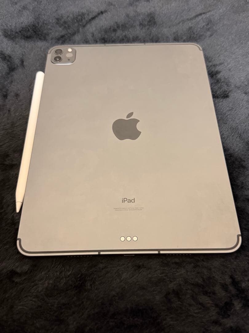 iPad pro 11 第3世代　512GB Apple pencil付