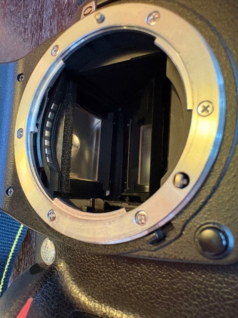 Nikon D70 NKKOR 70-210 レンズ付