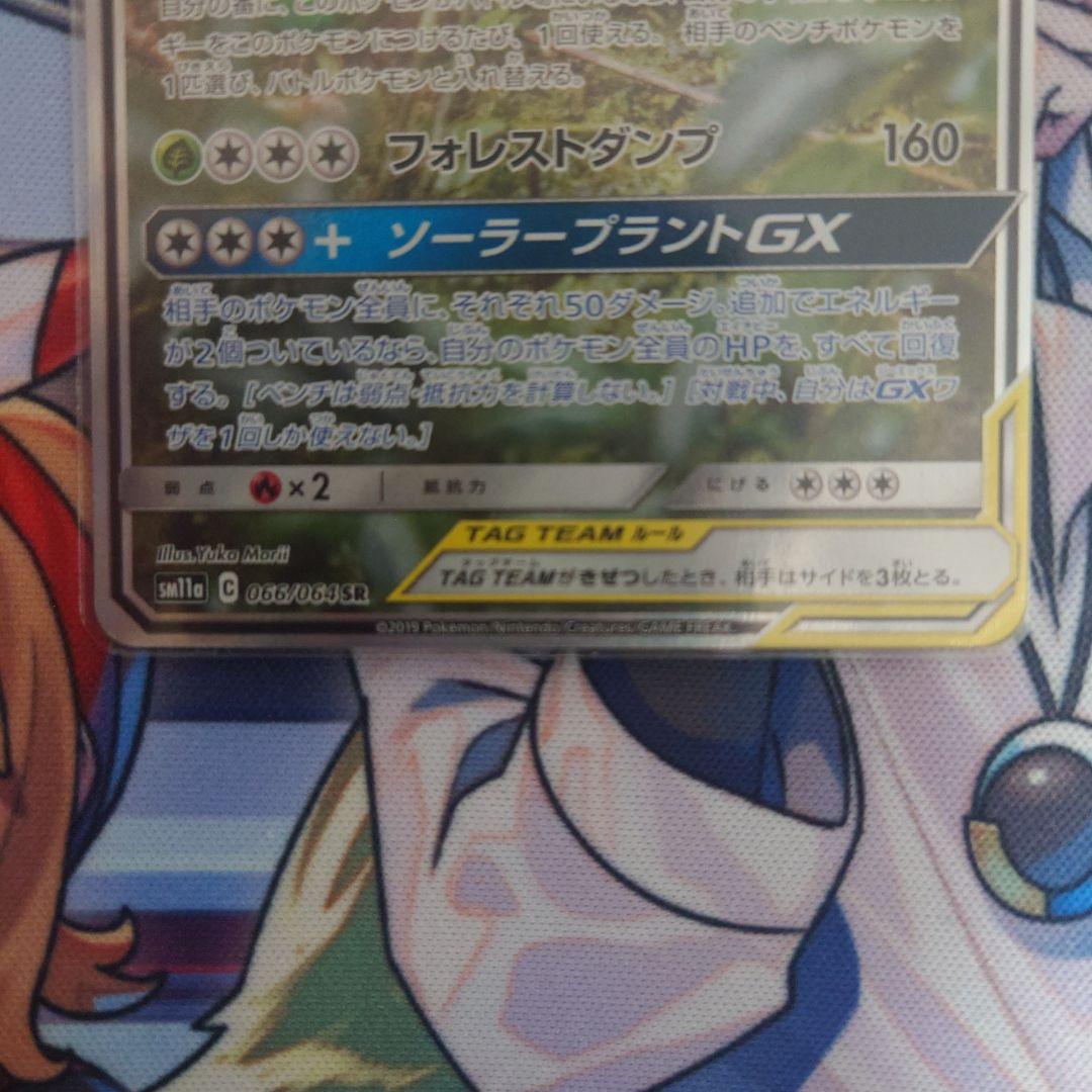 フシギバナ&ツタージャGX タッグチームカード