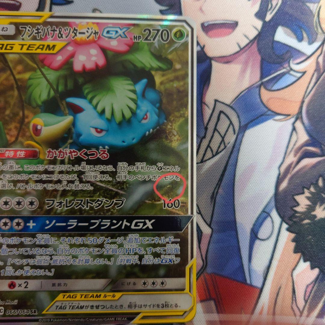 フシギバナ&ツタージャGX タッグチームカード