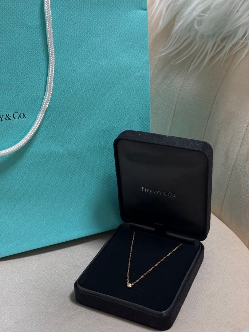【最終価格】ティファニー バイザヤード ネックレス 正規品