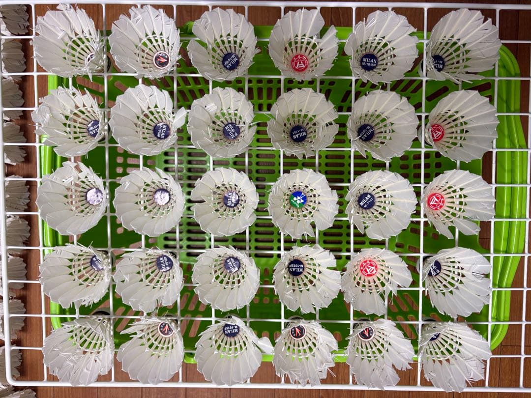 【中古】バドミントンシャトル480個（40ダース）ノック用等に