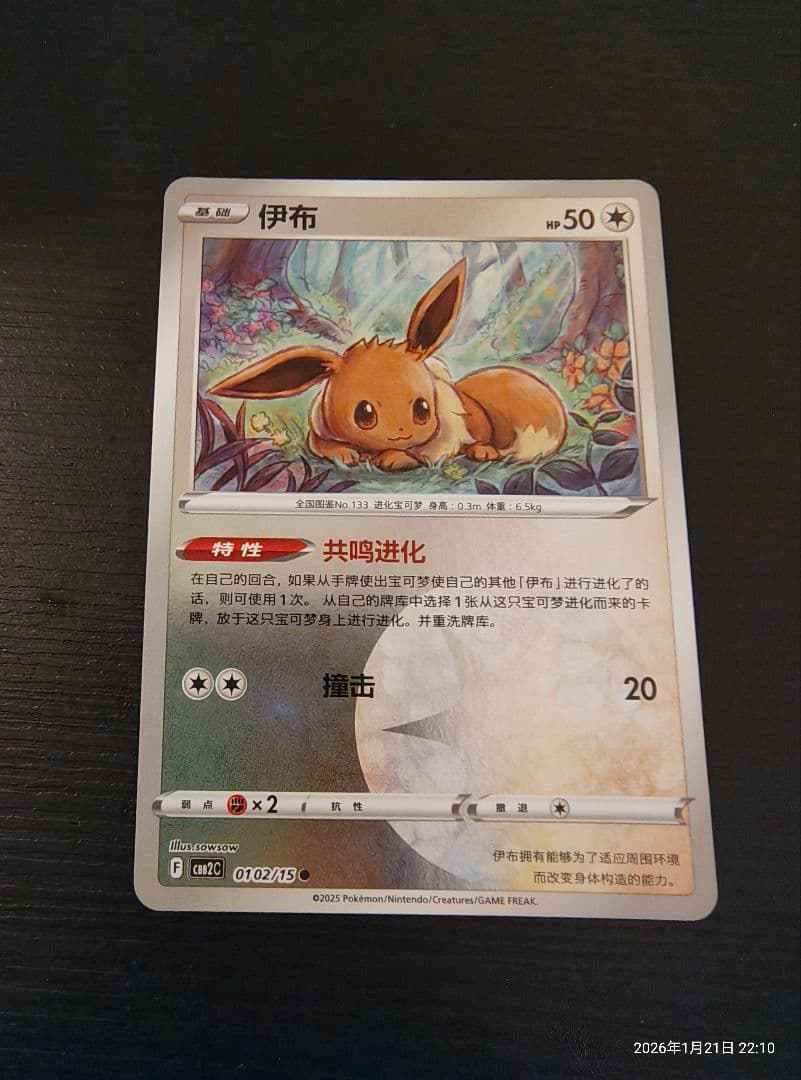 イーブイ 伊布 中国語版