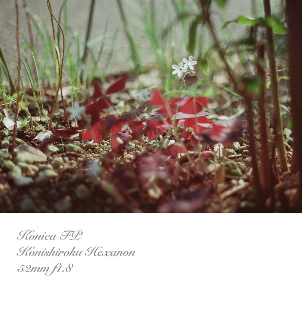 ★konica fp+hexanonレンズ★希少！超美品＊完動品★保証付