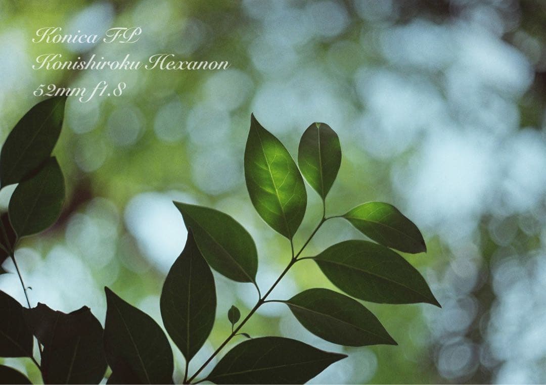 ★konica fp+hexanonレンズ★希少！超美品＊完動品★保証付