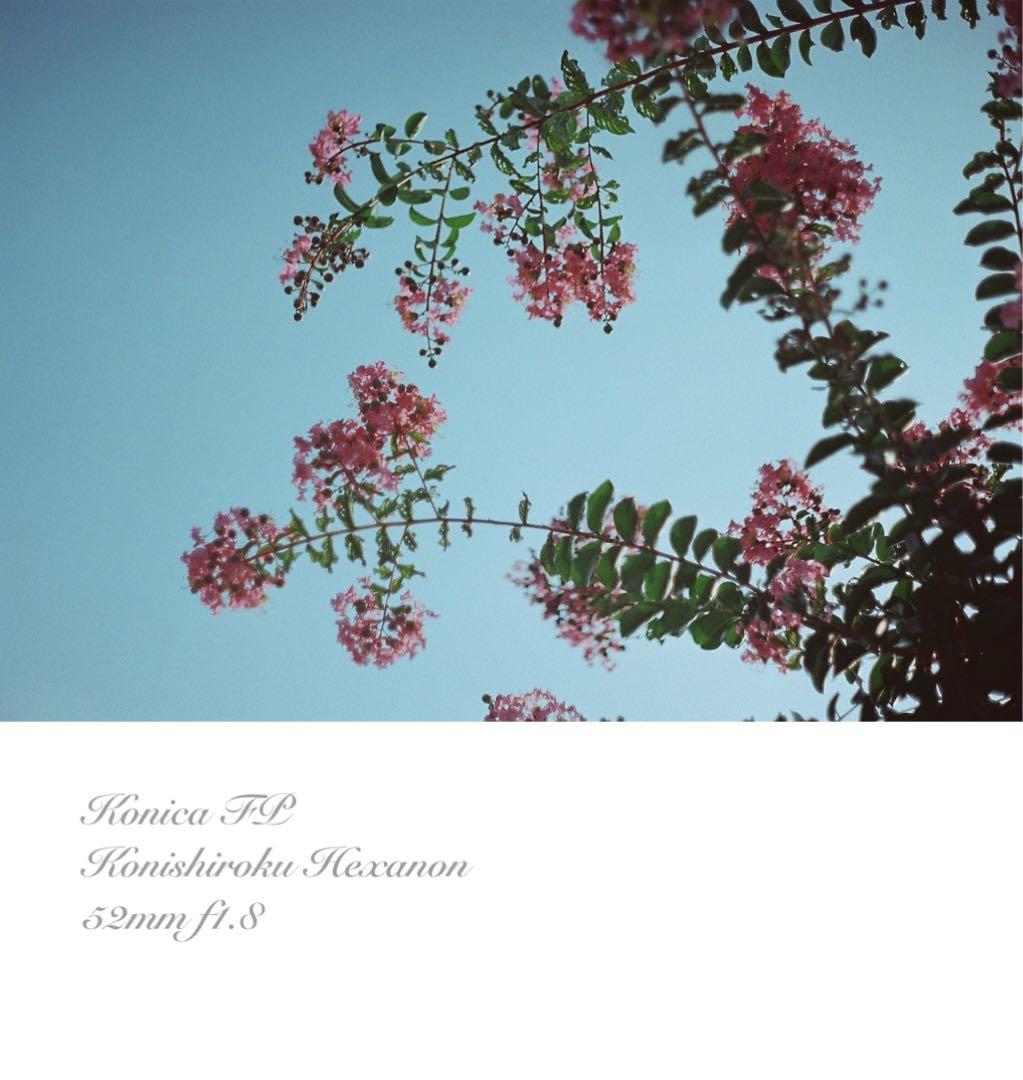 ★konica fp+hexanonレンズ★希少！超美品＊完動品★保証付