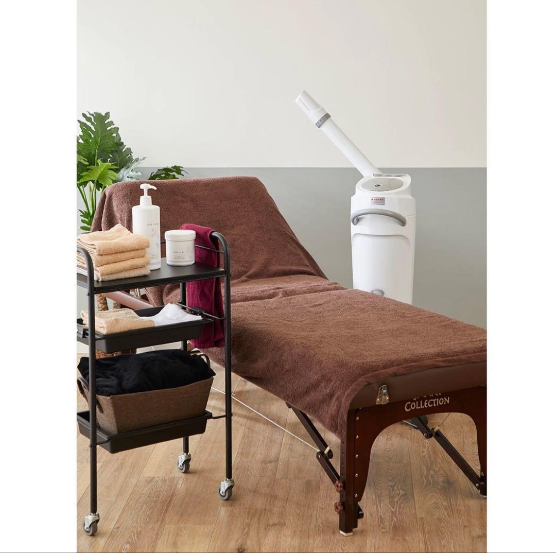 フェイススチーマー 業務用　美品