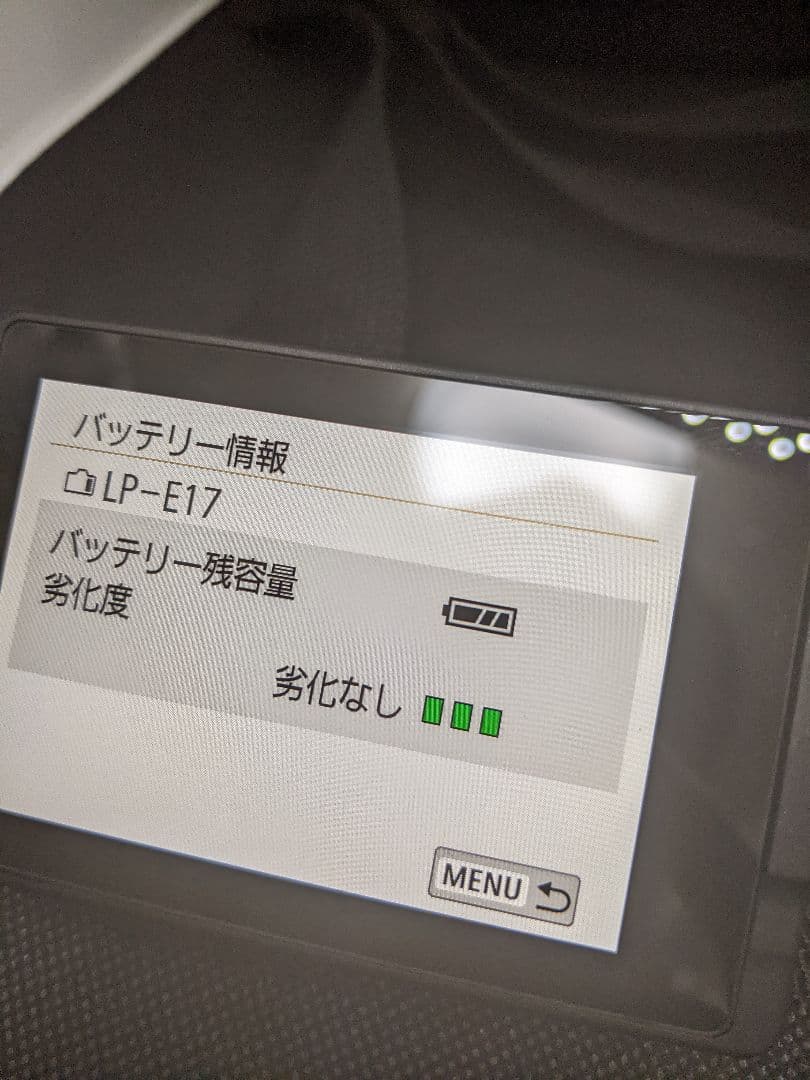 バッテリー良　Canon EOS Kiss X9 デジタル一眼レフ　ダブルレンズ