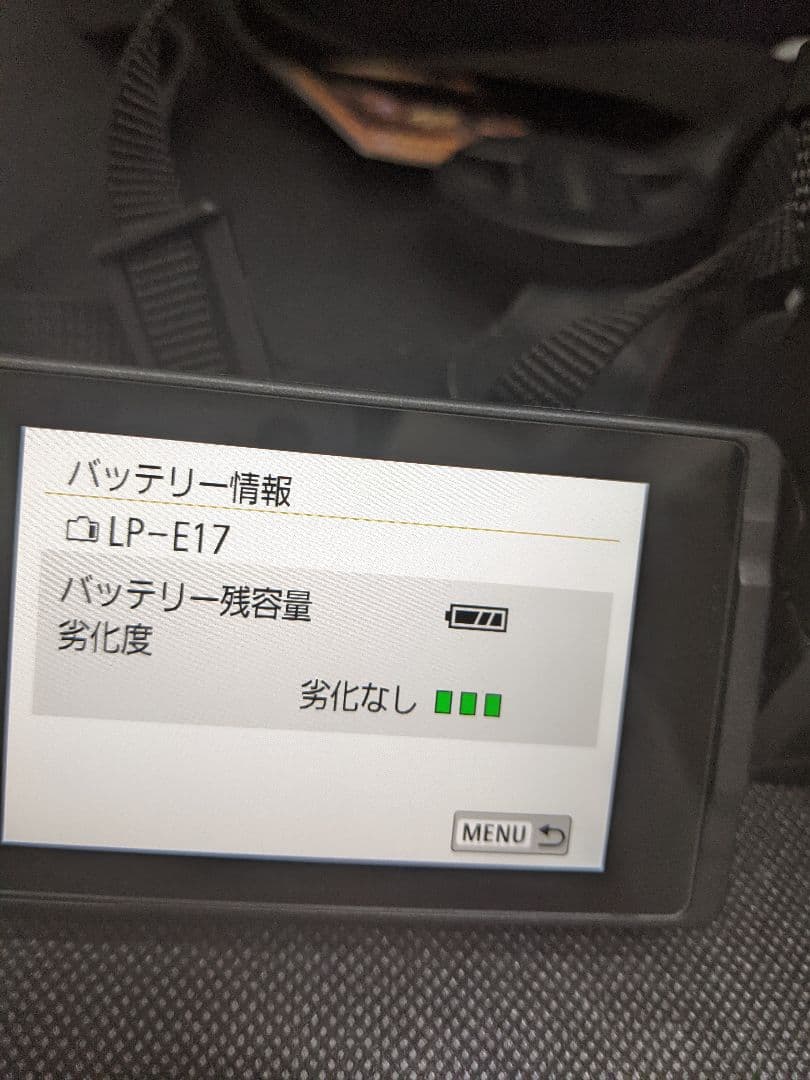 バッテリー良　Canon EOS Kiss X9 デジタル一眼レフ　ダブルレンズ