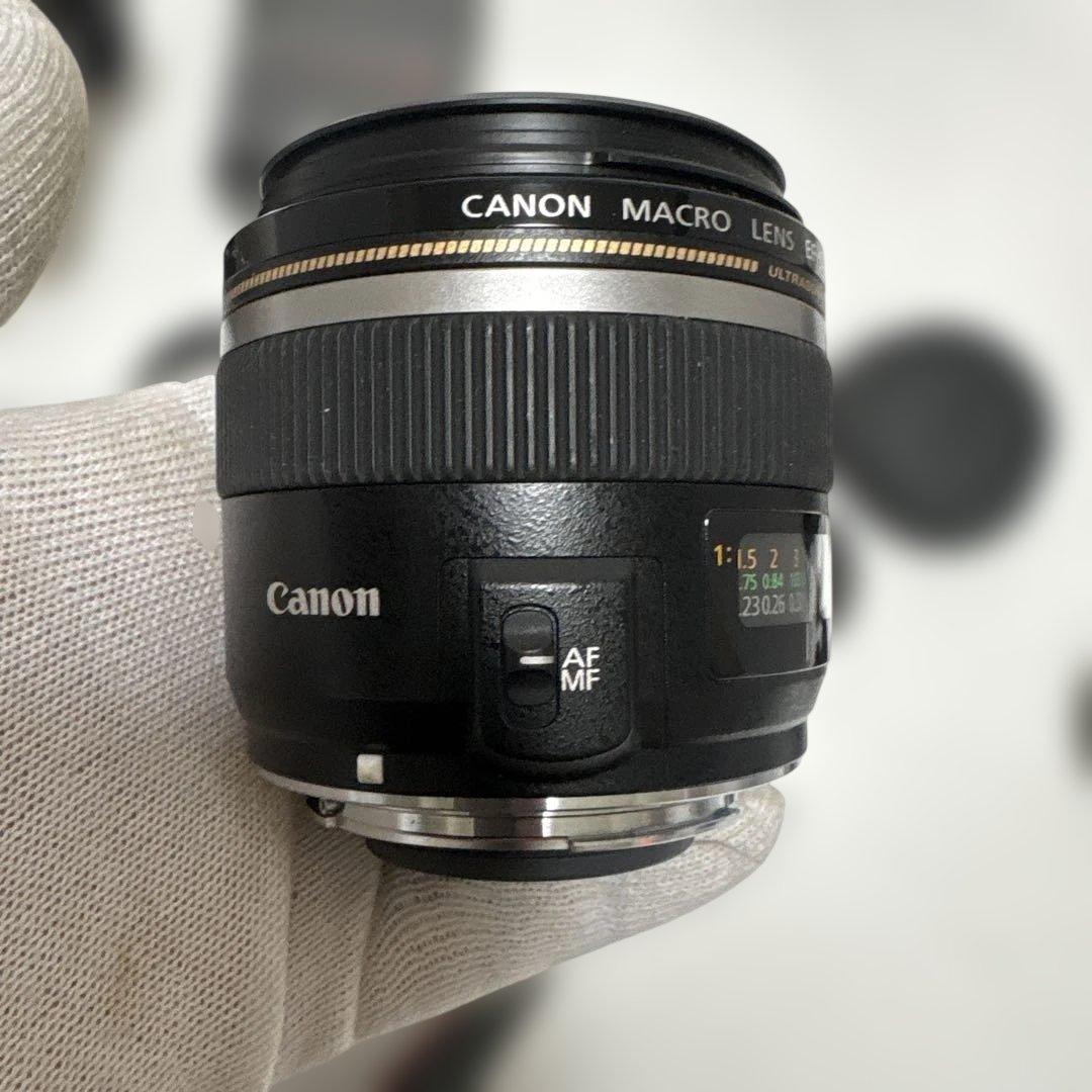 パ*ダ様 Canon EOS 20D デジタル 一眼レフカメラ セット レンズ2