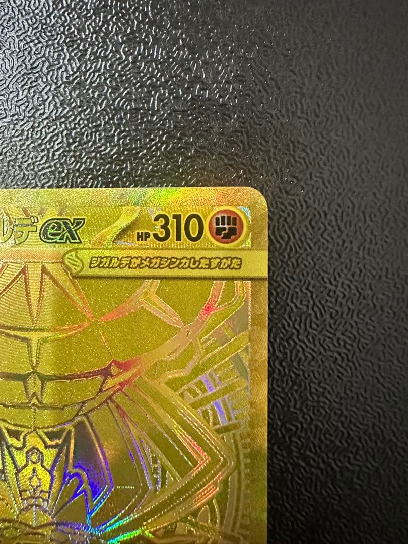 メガジガルデナEX 310 HP