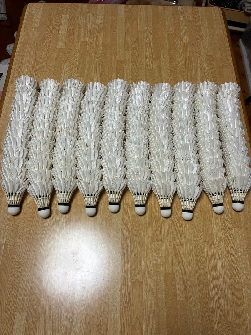 NEW OFFICIAL バドミントンシャトル