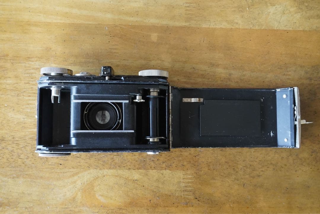 レチナⅠ型　#118 レア　Retina