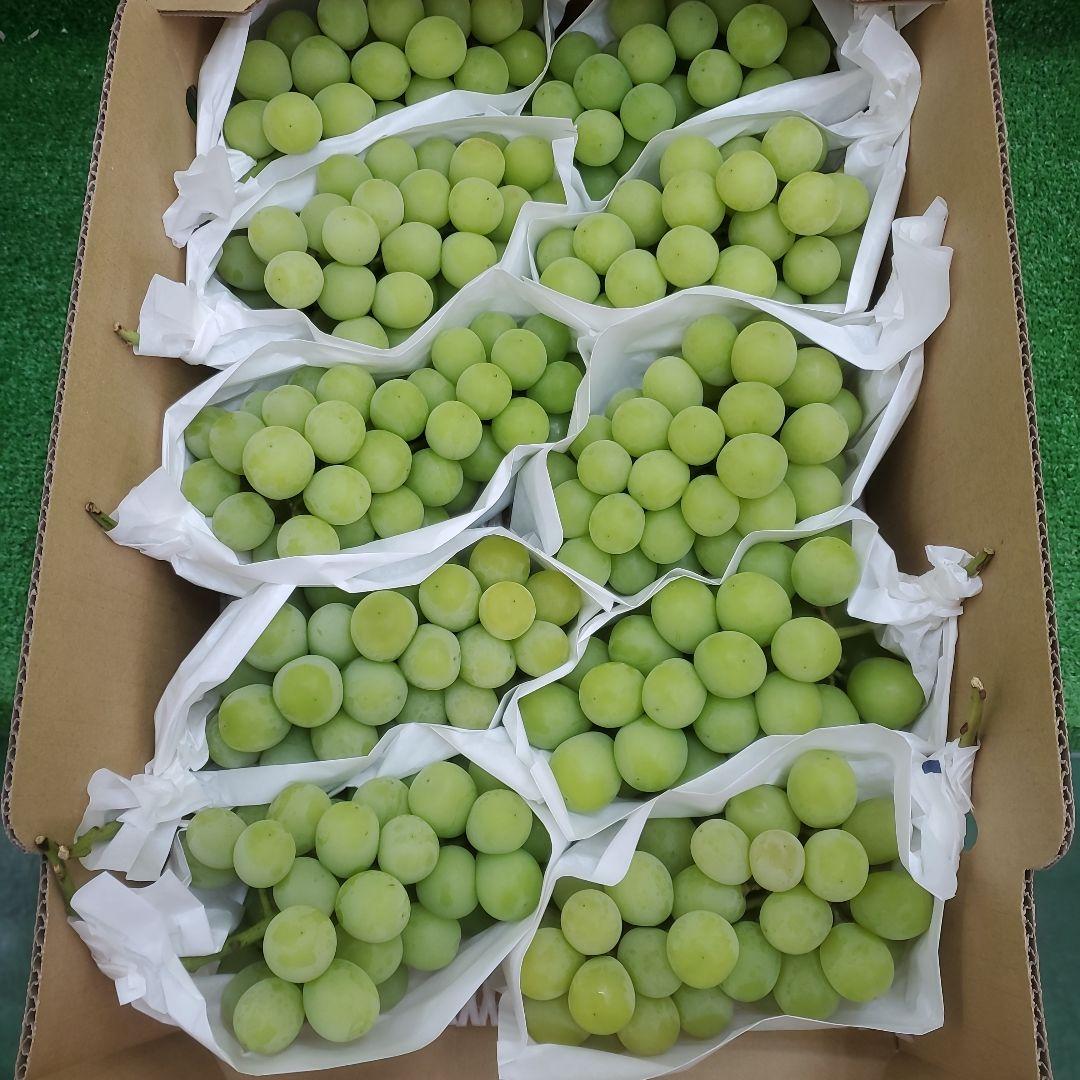 8️⃣ 山梨県産 シャインマスカット １０房入り 箱込み5.4キロ