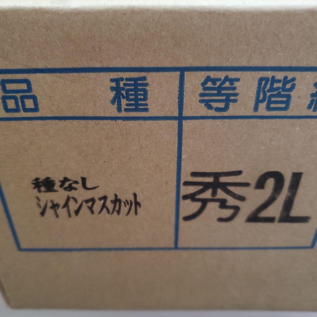 8️⃣ 山梨県産 シャインマスカット １０房入り 箱込み5.4キロ