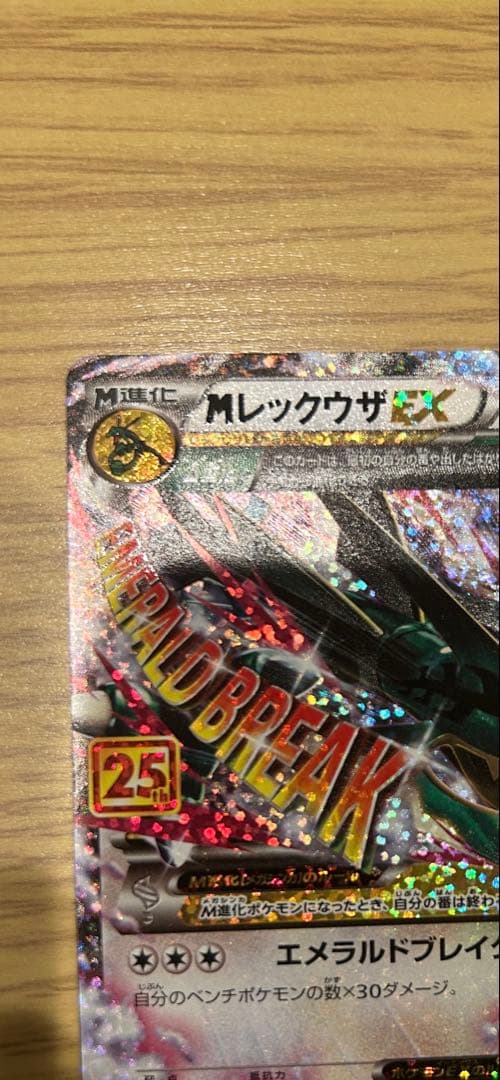 週末値下げ　『美品』　25th レックウザ　ローダー付き