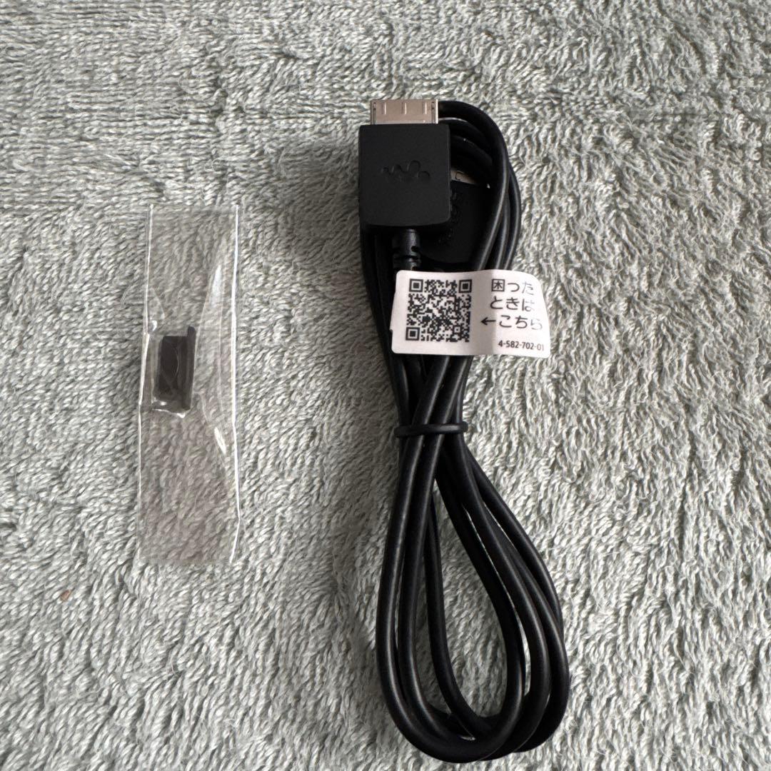 SONY NW-ZX300 64GB デジタルオーディオプレーヤー 外箱有り