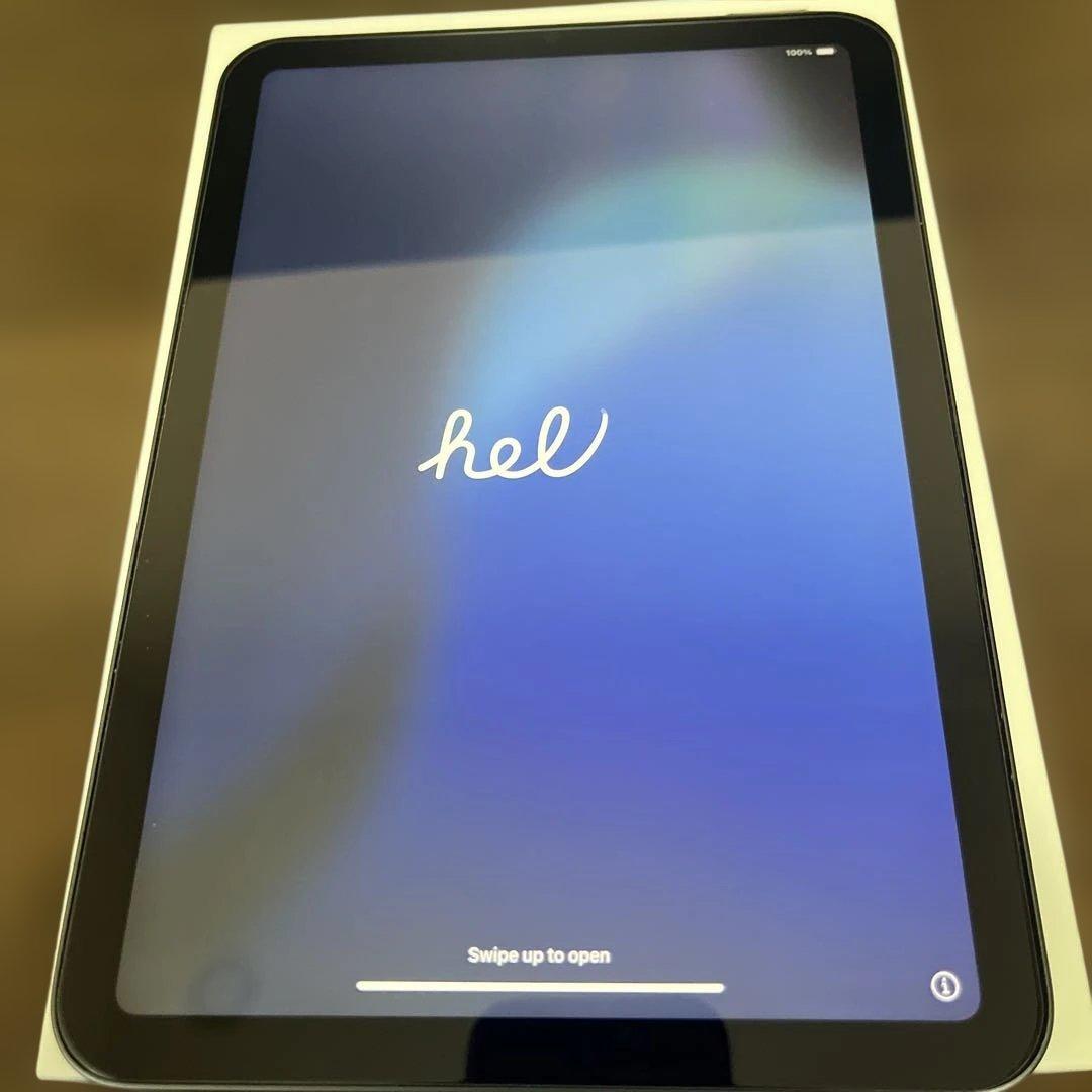 iPad mini (第6世代) 256GB Wi-Fi スペースグレー