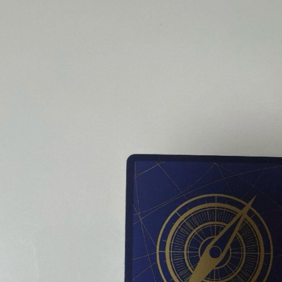 モンキー・D・ルフィ SR-P サインカード　新時代の主役　パラレル