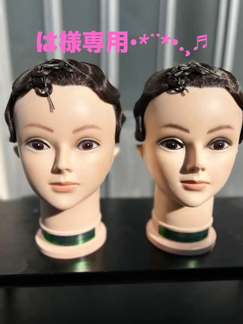 国試仕込み済みAWウィッグ2個と カットウィッグ5個セット