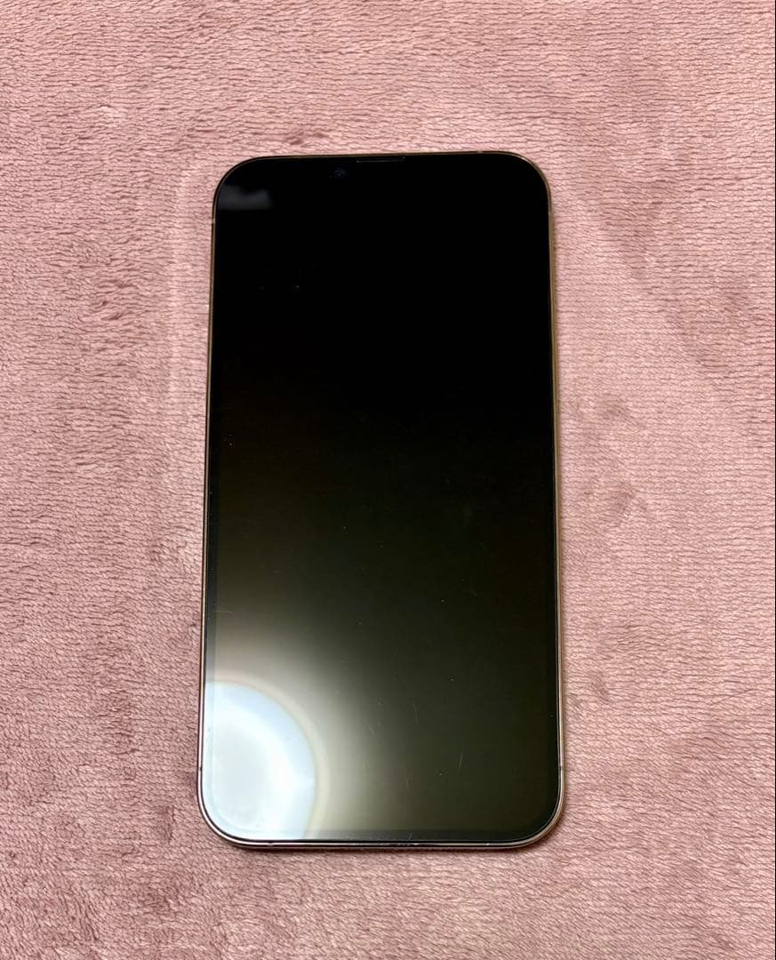 ジャンク iPhone 13 Pro Max 128GB