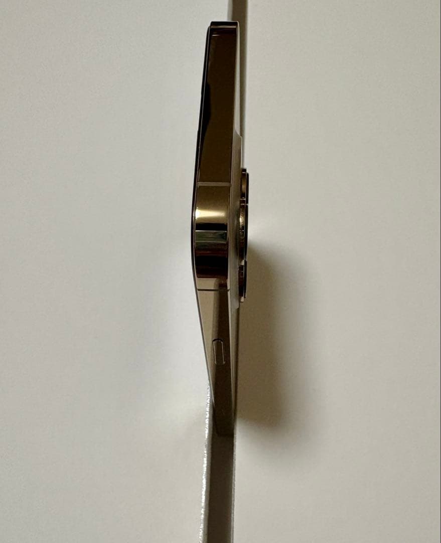 ジャンク iPhone 13 Pro Max 128GB