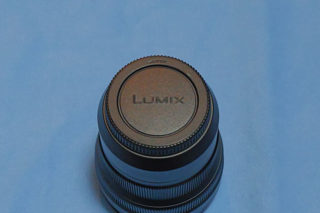 レンズ(ズーム) Panasonic LEICA DG VARIO-ELMARIT 8-18mm