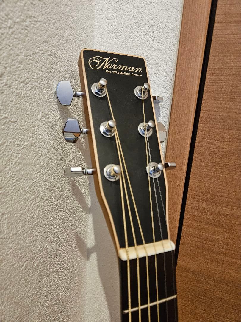 ギター NORMAN B18 CW (fishman presys)