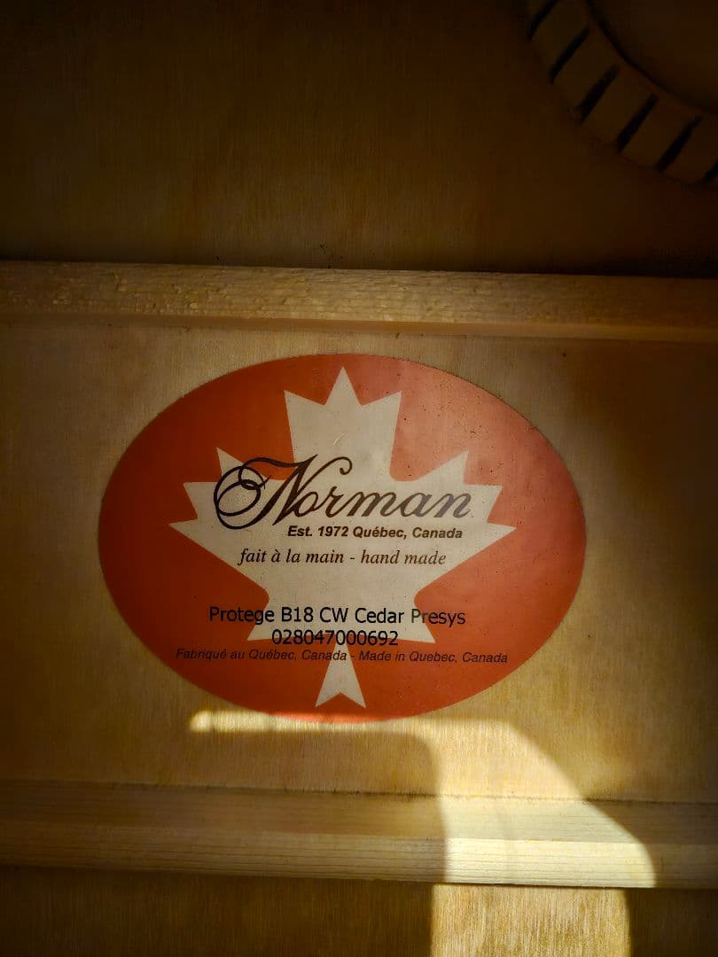 ギター NORMAN B18 CW (fishman presys)