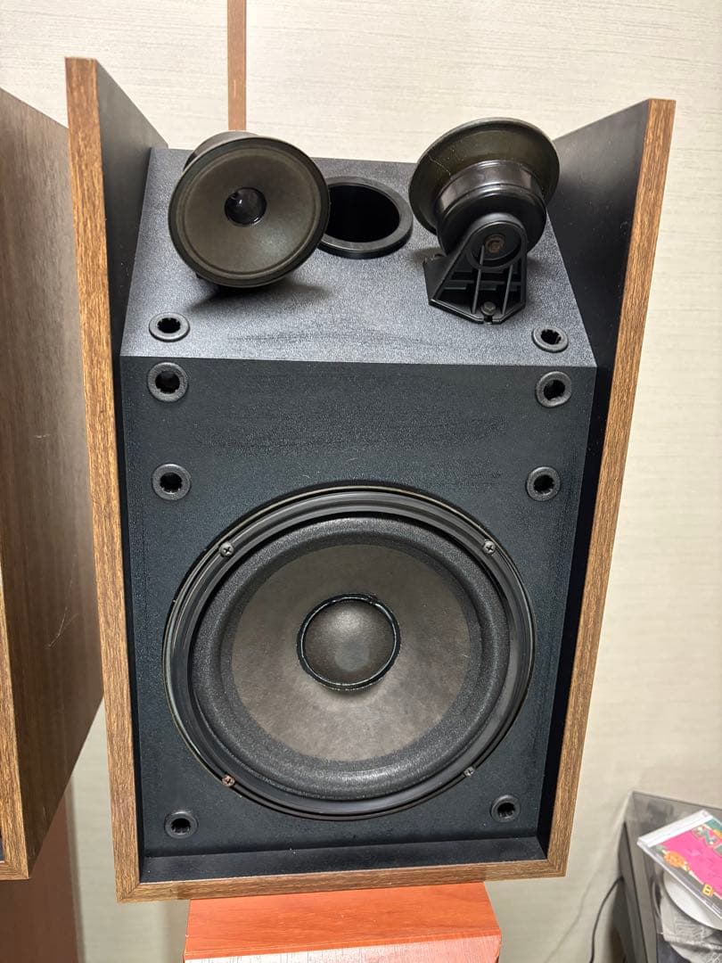 Bose 301 series ii 珍しい色