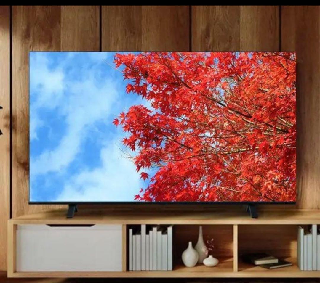 【ニョイ】【新品未開封】レグザ　REGZA 50V型 C350M【セール】