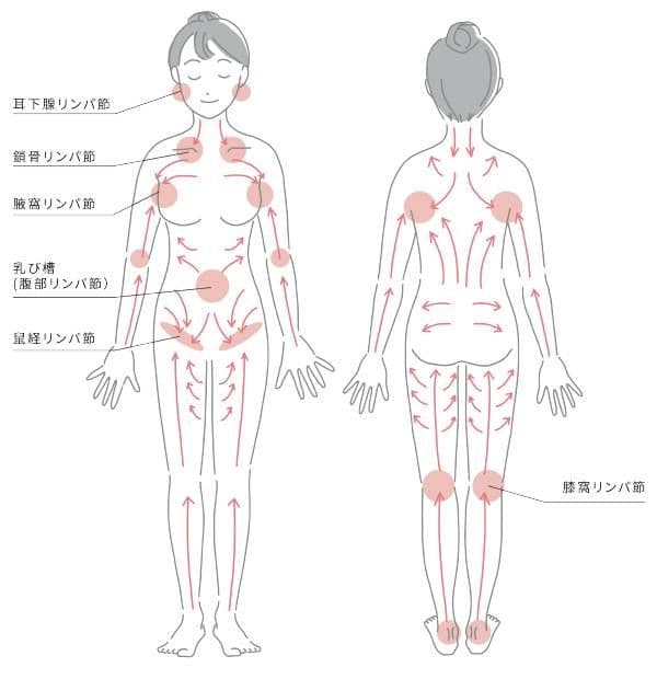 12/7最終値下げ　カタログ付き　healing mouse ヒーリングマウス