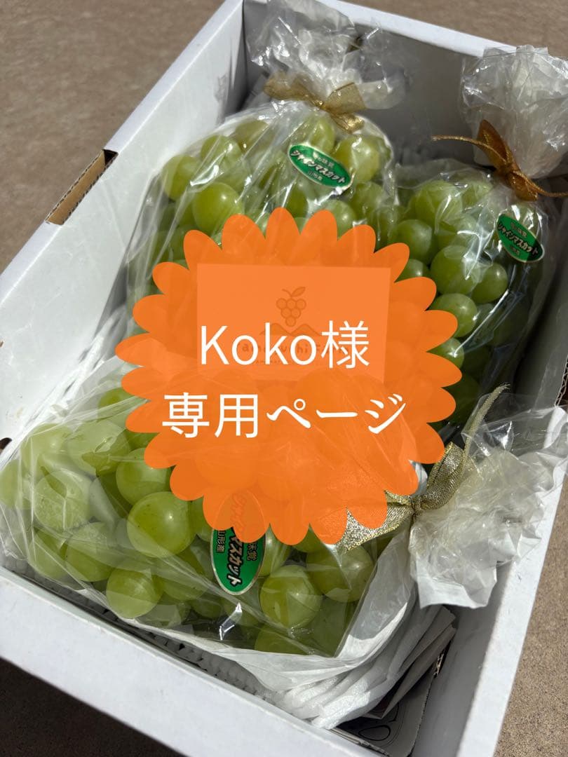 Kokoページ シャインマスカット 8キロ