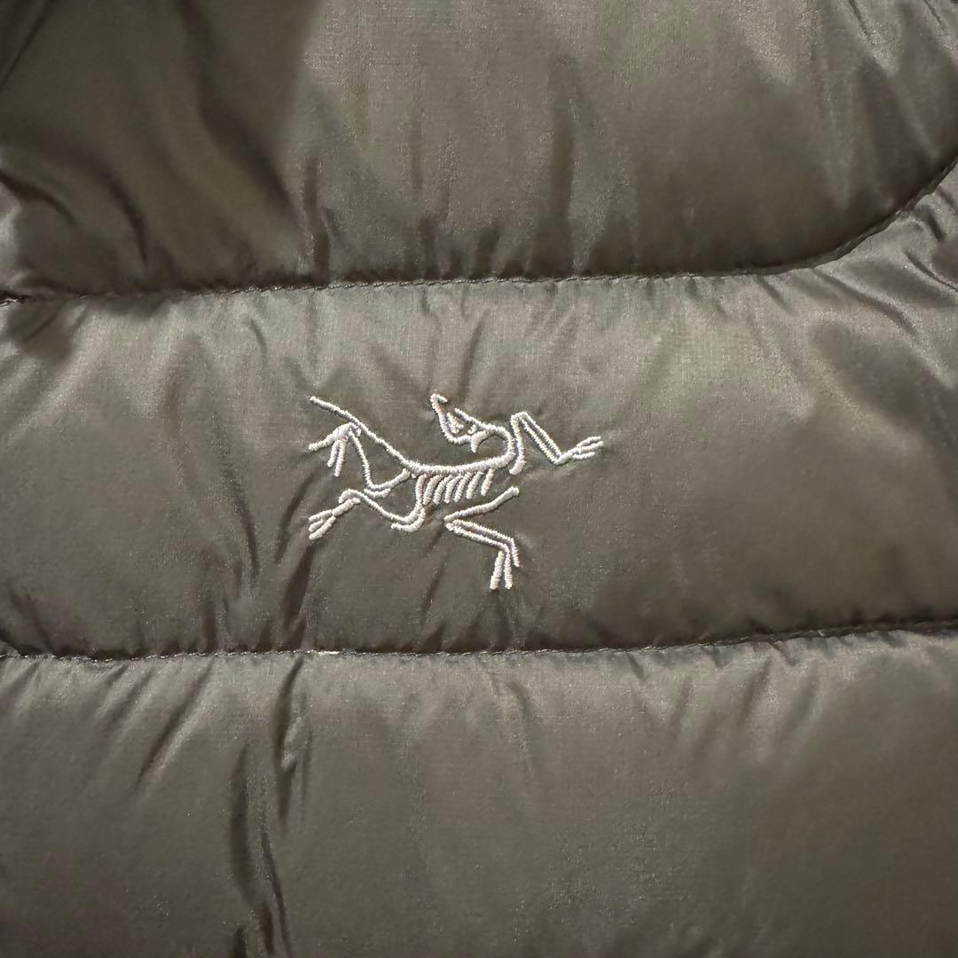 トップス [ARC'TERYX] Cerium Vest