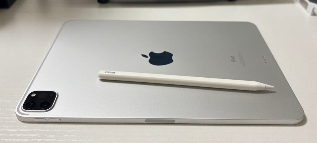 iPad Pro 11インチ 256GB【アップルペンシャル付き】