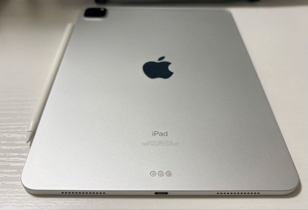 iPad Pro 11インチ 256GB【アップルペンシャル付き】