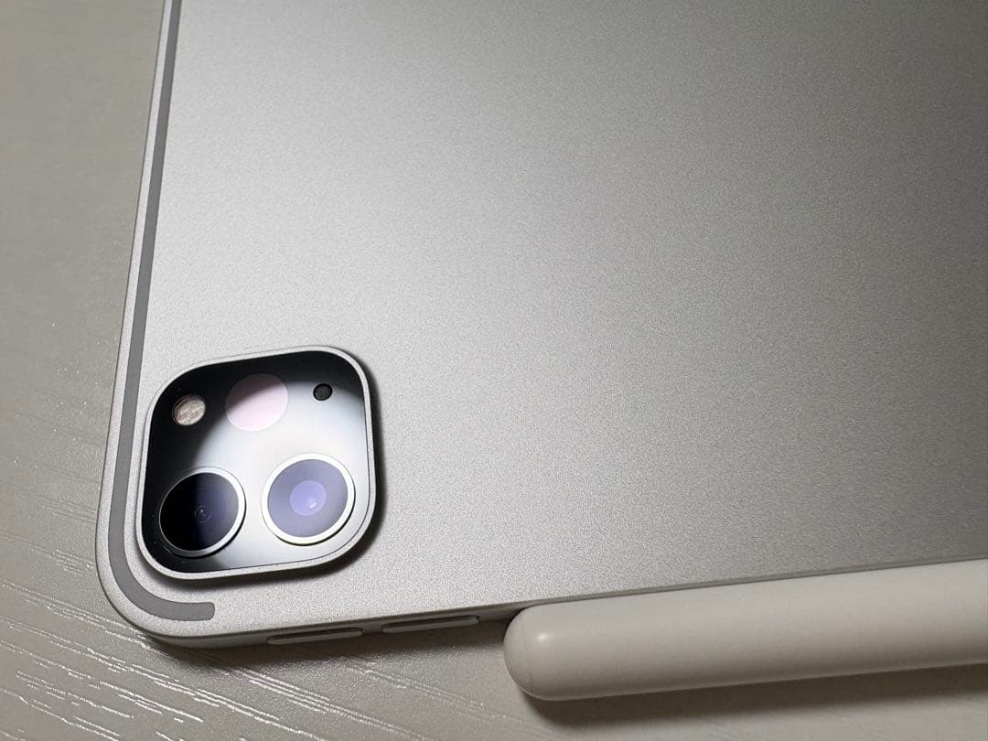 iPad Pro 11インチ 256GB【アップルペンシャル付き】