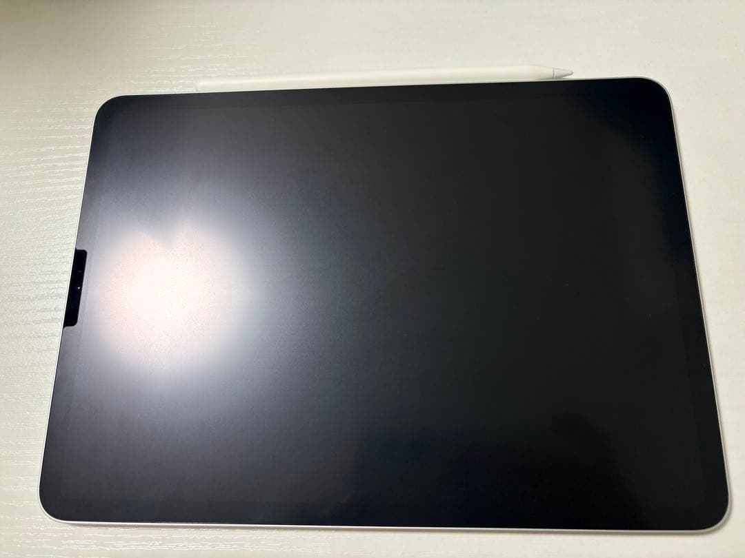 iPad Pro 11インチ 256GB【アップルペンシャル付き】