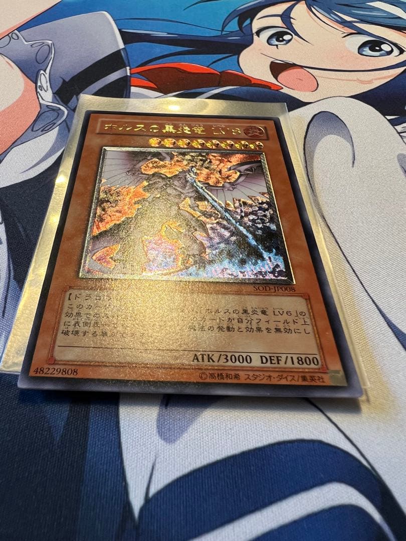 遊戯王　ホルスの黒炎竜レリーフ他12枚セット