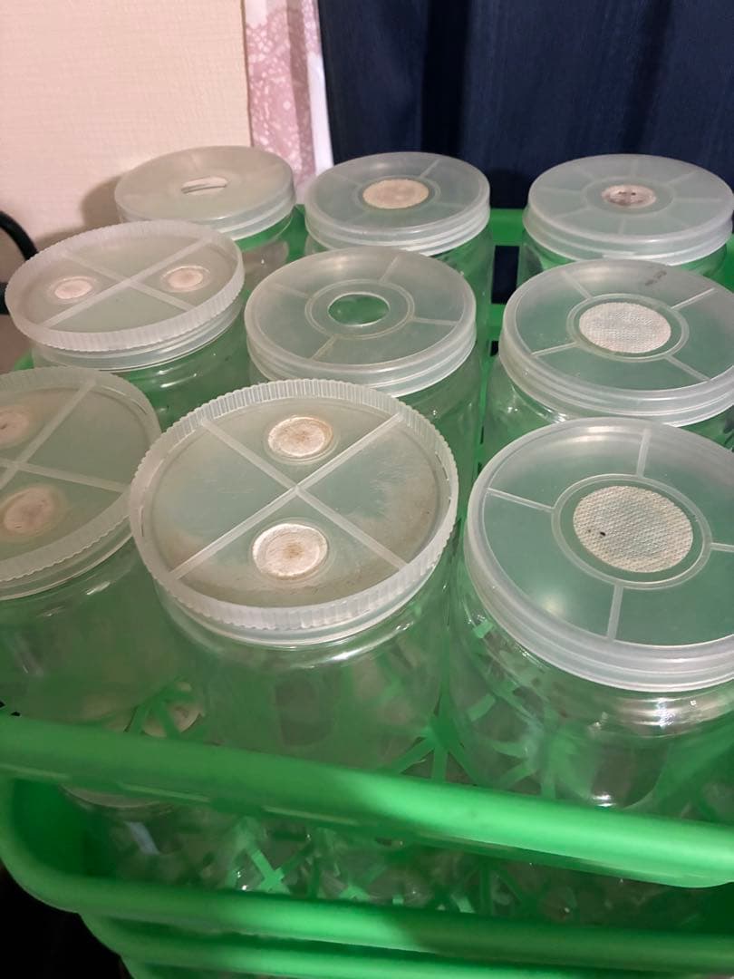 菌糸ボトル まとめ売り