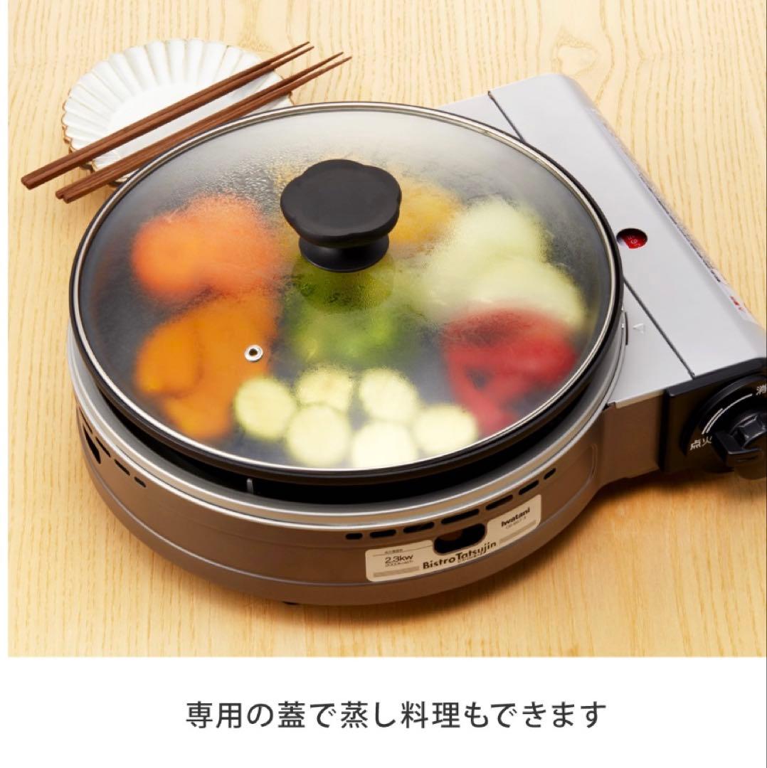 【新品未使用】IWATANI ビストロの達人Ⅲ