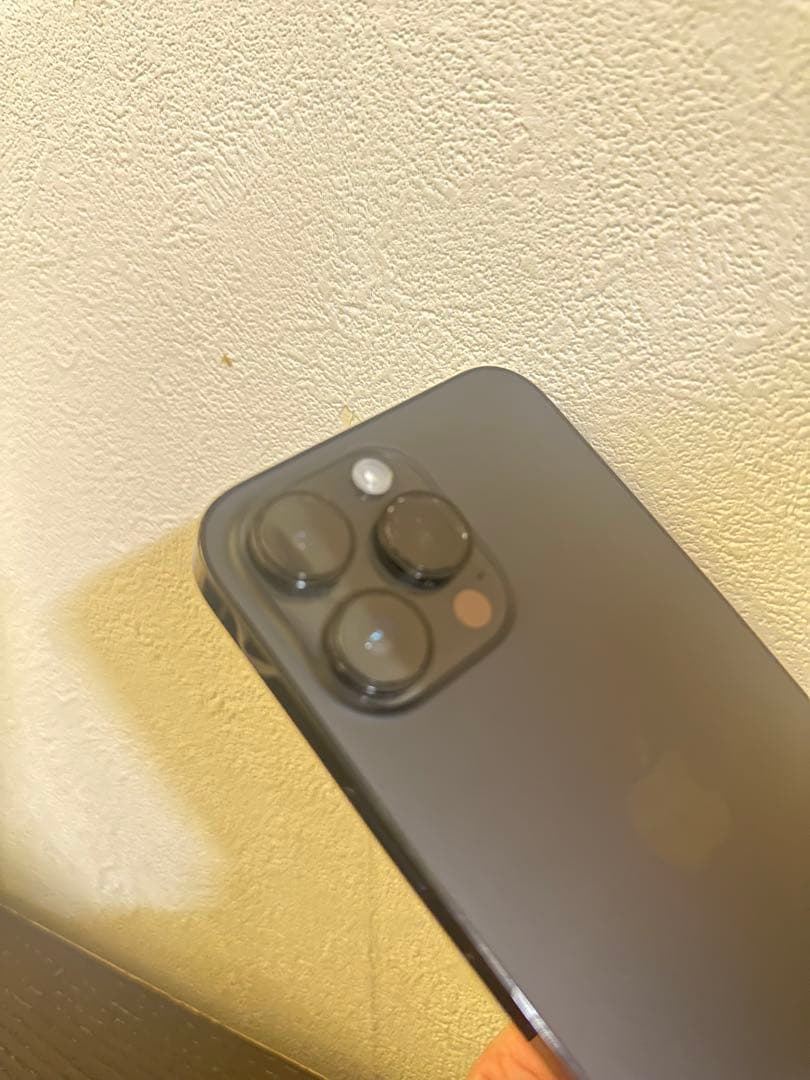 iPhone14 Pro Max ジャンク 電源入る 画面緑