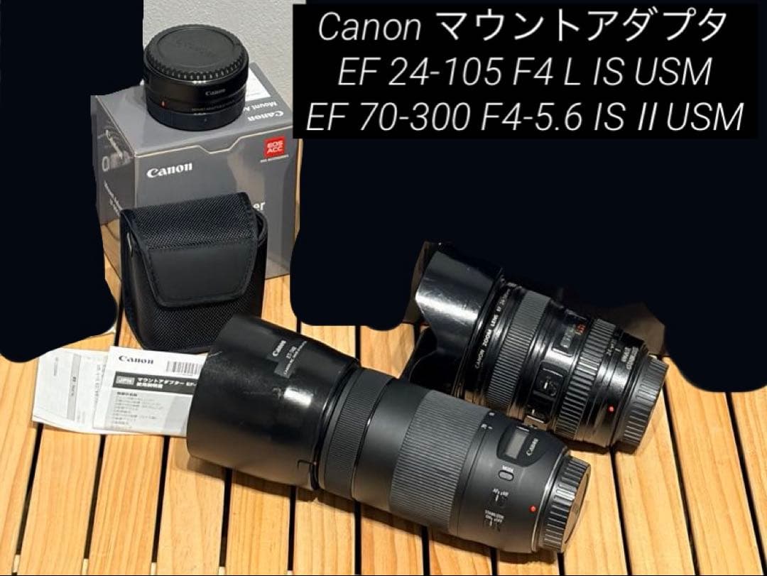 Canon マウントアダプタ EF-EOS R+ EFレンズ2本セット
