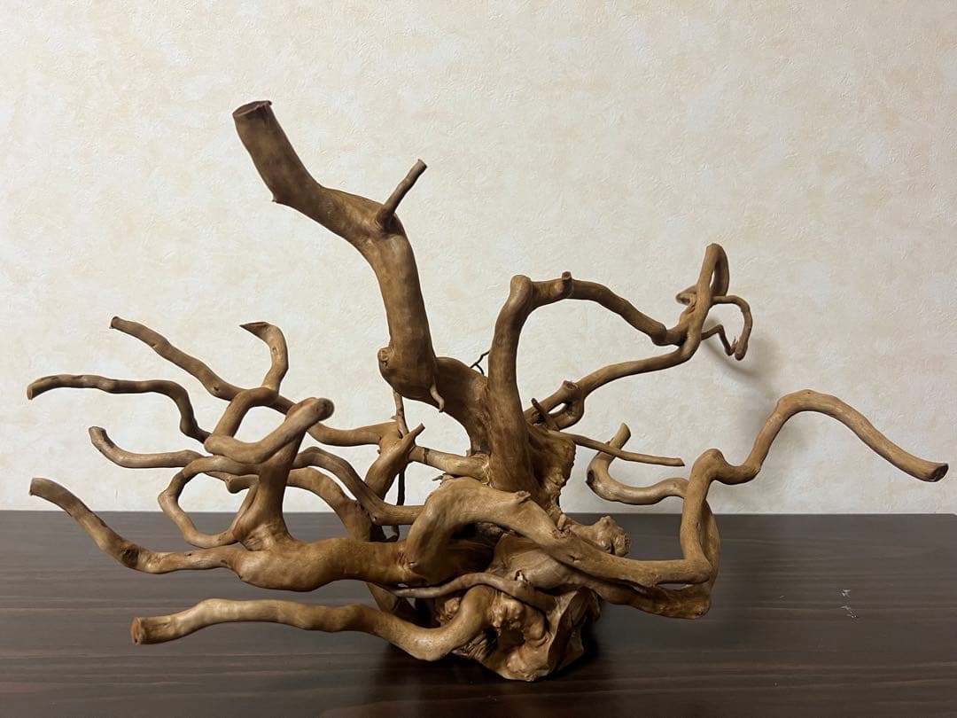 70215 ブランチウッド　流木　アクアリウム　沈水確認済