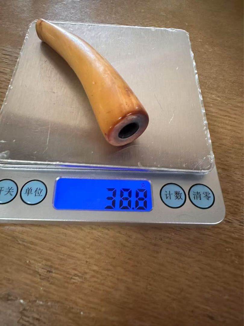 鯨の歯☆パイプ