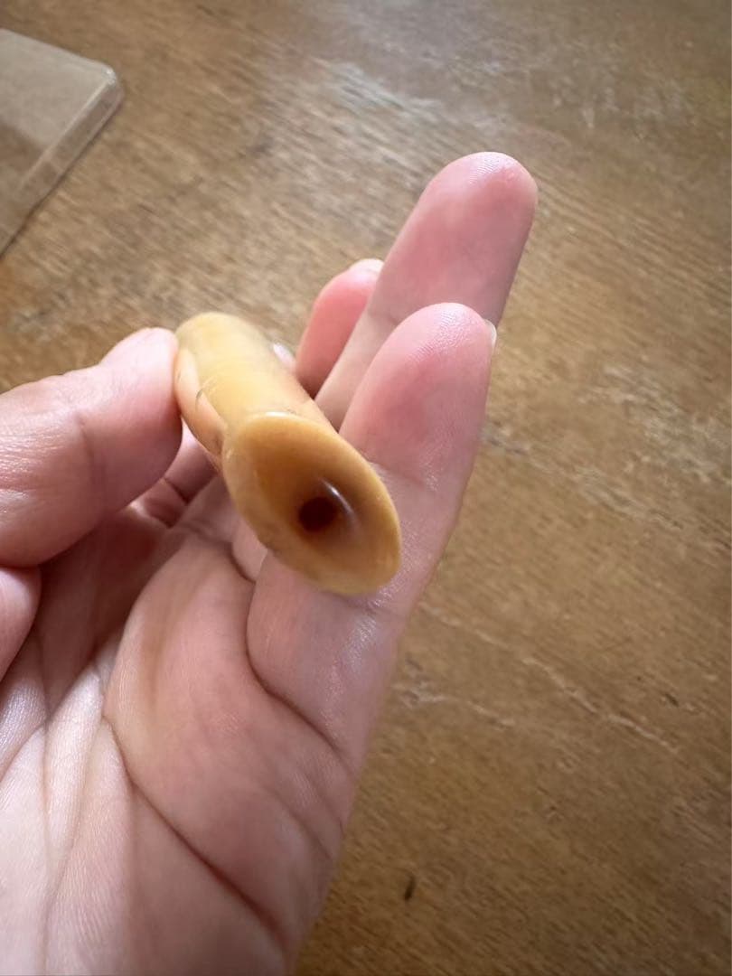 鯨の歯☆パイプ