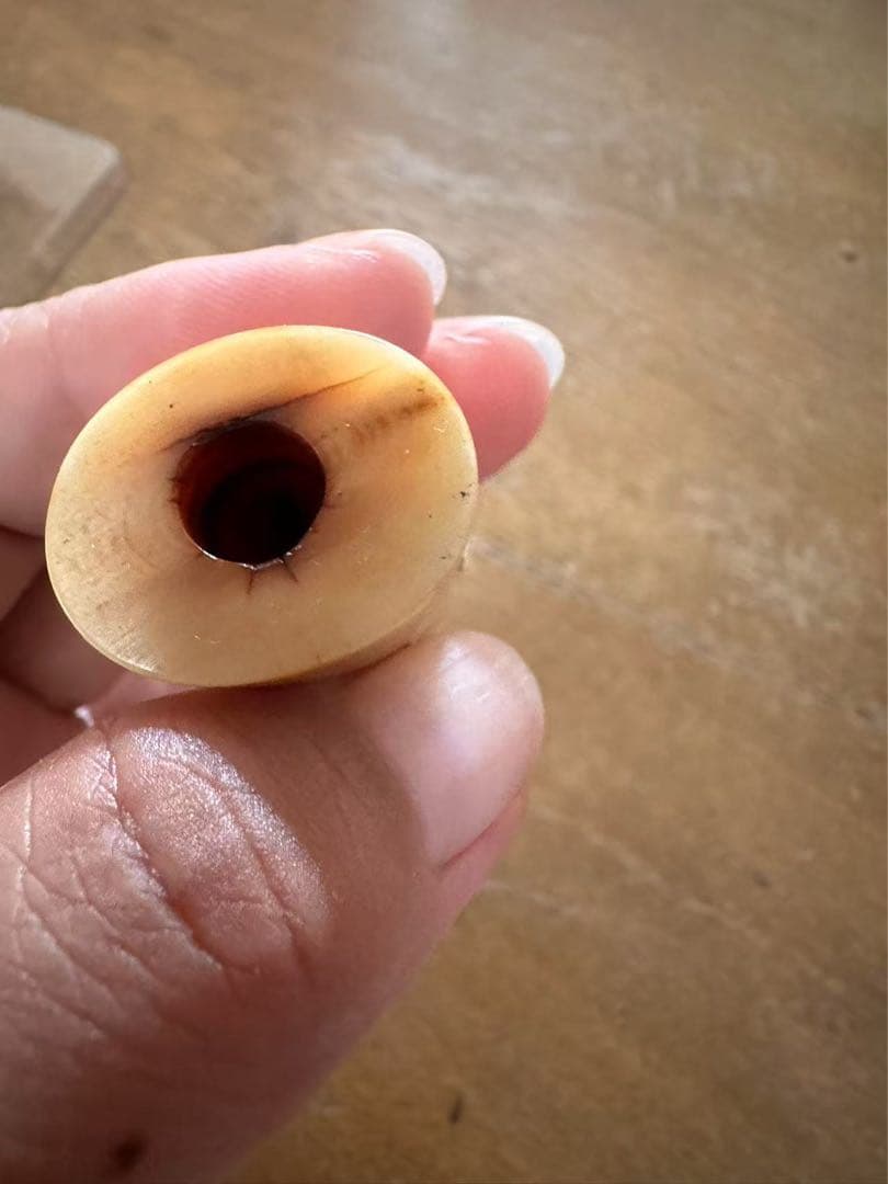 鯨の歯☆パイプ