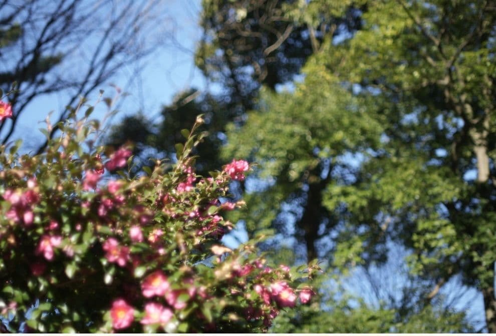 ☆最終値下げ☆ルサール　MP-2 20ｍｍ　f５.6 超希少レンズ